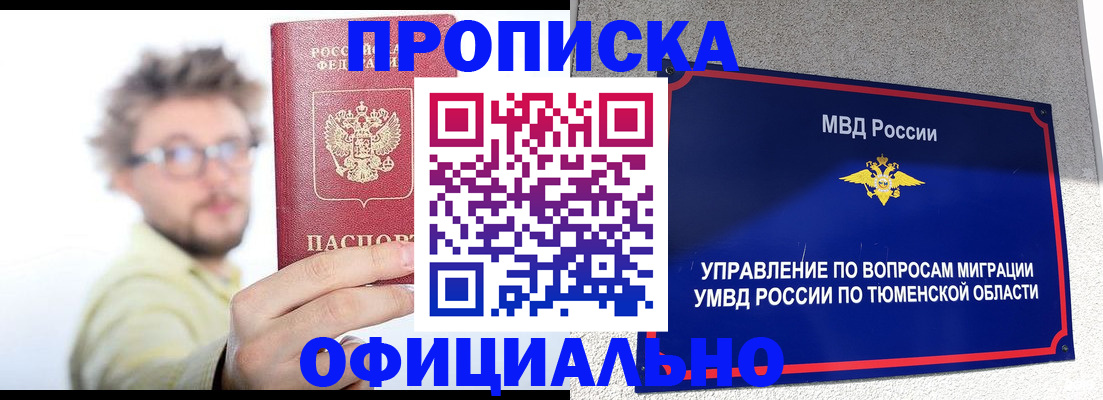 прописка поиск в Курской области